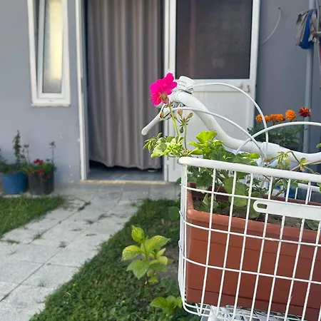 Auberge de jeunesse Happy Corner Shkodër