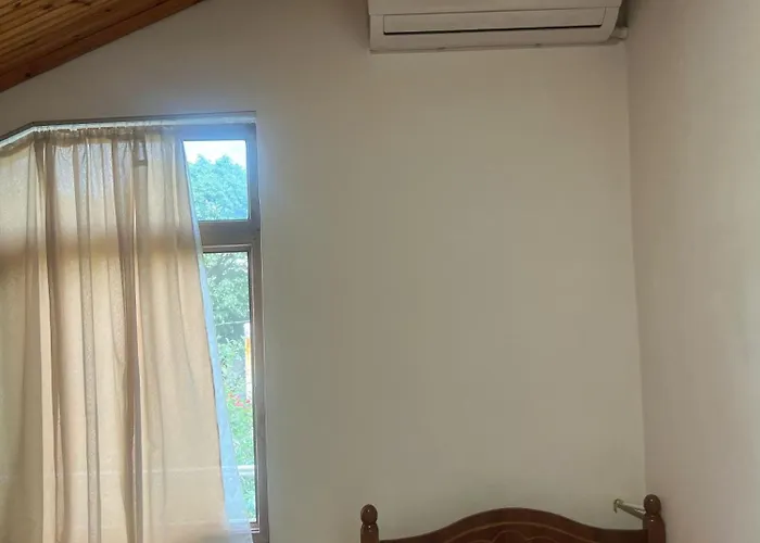 Happy Corner Шкодер