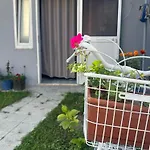Hostal Happy Corner Shkodër
