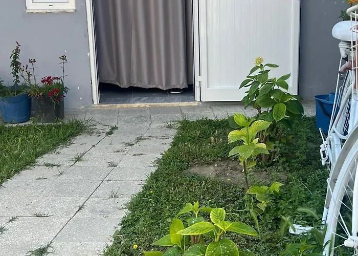 Happy Corner شكودر