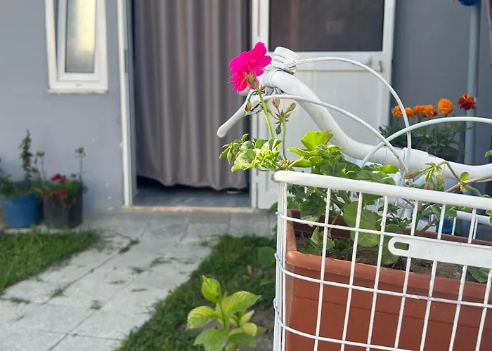 旅馆 Happy Corner Shkodër